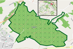 Eine Karte von Heidelberg, Deutschland, die einen grünen Parkbereich mit begleitendem Text hervorhebt.