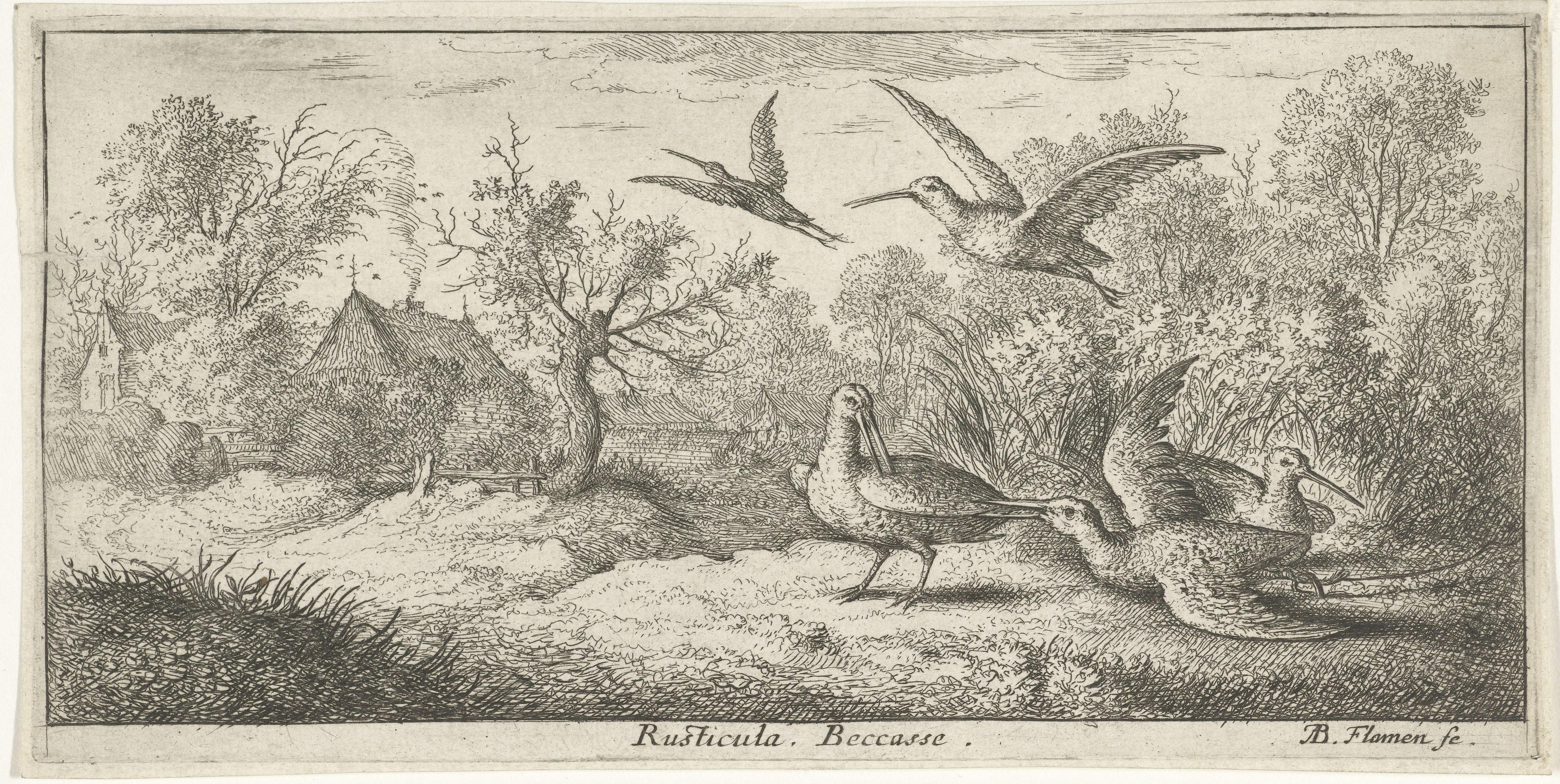 Ein bewaldetes Gebiet mit Vögeln, die zwischen Bäumen, Pflanzen, Gras und Häusern fliegen, mit Text am unteren Rand.