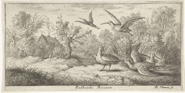 Ein bewaldetes Gebiet mit Vögeln, die zwischen Bäumen, Pflanzen, Gras und Häusern fliegen, mit Text am unteren Rand.