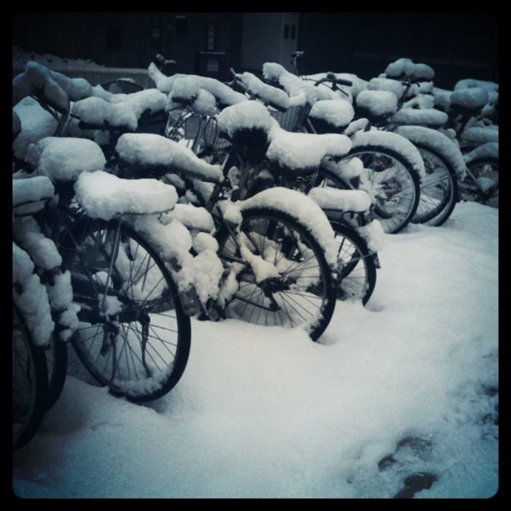 Mehrere Fahrräder stehen auf einem schneebedeckten Boden, der ebenfalls mit Schnee bedeckt ist.