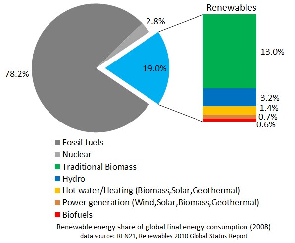 Tortendiagramm, das den globalen erneuerbaren Energieverbrauch im Jahr 2008 zeigt, aufgeteilt nach Quellen wie fossile Brennstoffe, Kernenergie, Wasserkraft, Warmwasser, Heizung, Biomasse, Solar, Geothermie und Biokraftstoffe.