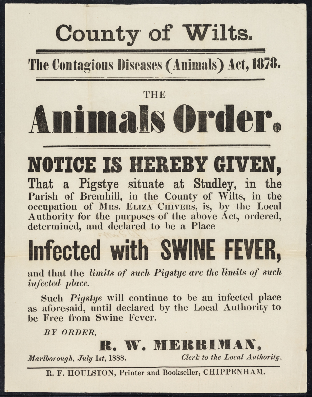 Ein Plakat mit Text, das eine Bekanntmachung nach dem Tierseuchengesetz von 1878 bezüglich der Afrikanischen Schweinepest in Wiltshire ankündigt.