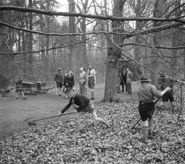 Schwarz-weiß-Foto von Menschen im Freien mit Stöcken zwischen Bäumen und abgefallenen Blättern.