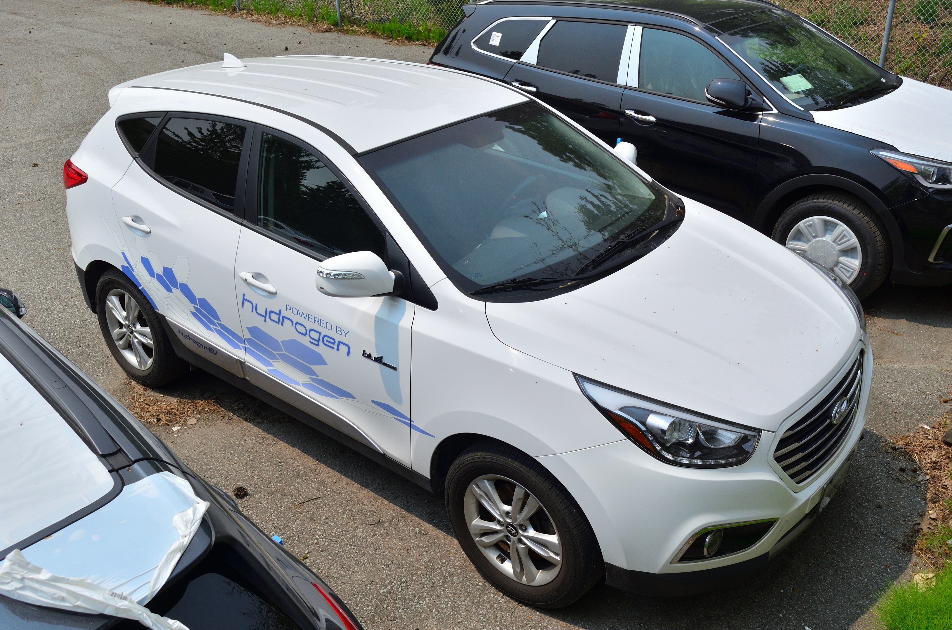 Drei wasserstoffbetriebene Autos nebeneinander auf einem Parkplatz mit Maschendrahtzaun im Hintergrund und Gras auf der rechten Seite geparkt.