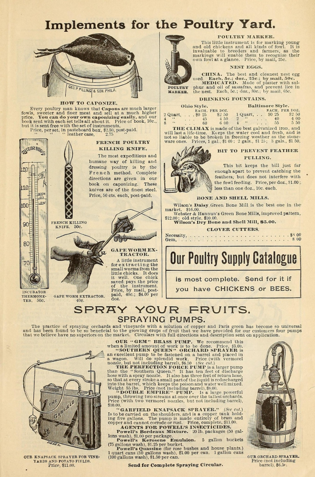 Alte Werbung für einen Geflügelhof mit Text und bunten Bildern von Geflügelprodukten, einschließlich Informationen zu Zutaten, Preisen und Anwendungsanweisungen.