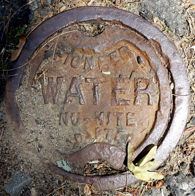 Ein Metall-Schachtobjekt mit der Aufschrift "Wasser", das in trockenen Blättern und Gras auf dem Boden eingebettet ist.