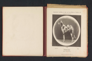 Ein aufgeschlagenes Buch mit dem Titel "Internationale Ausstellung von Jagd- und Luxushunden in Frankfurt a.M." mit einem Schwarz-Weiß-Foto eines Hundes und begleitendem Text.
