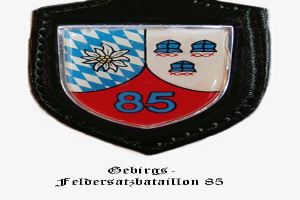 Ein Abzeichen mit der Nummer 85, das die bayerische Fußballmannschaft repräsentiert, mit deutschem Text darunter.