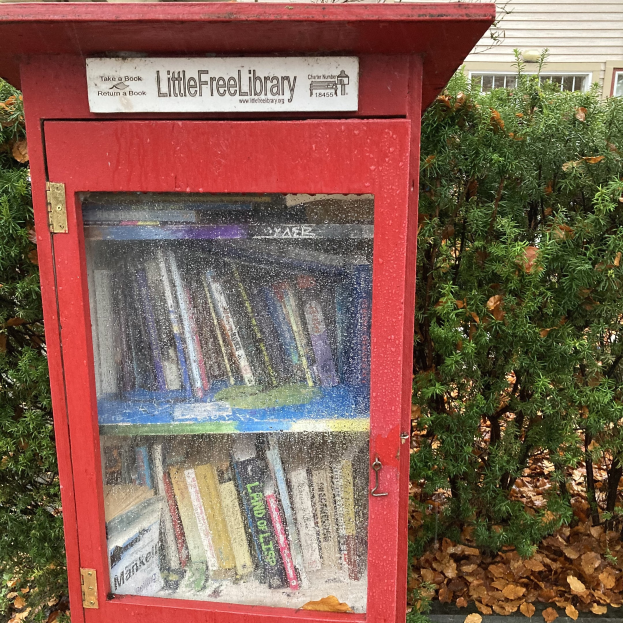 Eine kleine rote Bücherschrank steht vor einem Haus, gefüllt mit Büchern und umgeben von Bäumen mit abgefallenen Blättern.