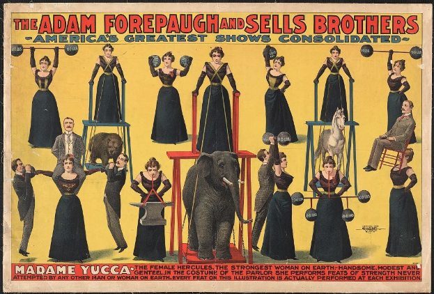 Plakat für das Adam Forepaugh und Sells Brothers Circus mit Performern auf Hockern und einem zentralen Elefanten sowie Werbetext.
