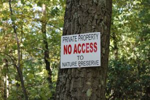 Natur als kritische Infrastruktur schützen